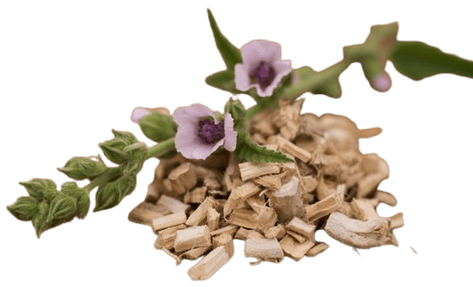 Marshmallow Root ingredient